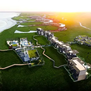 Hotel Etereo, Collection